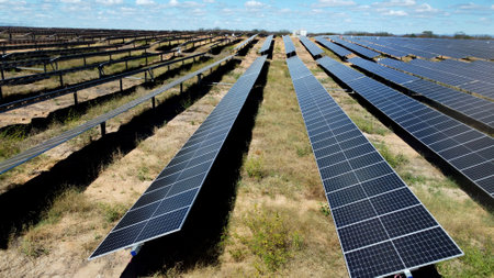 oliveira dos brejinhos, bahia, brazil - june 7, 2023: solar energy production board farm is seen in...
