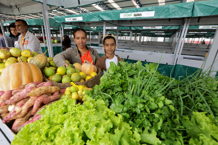 Bonito, Bahia, Brazil - April 28, 2024: open-air market stall selling food in the city of Bonito.のeditorial素材