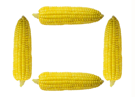 Four white background corn head