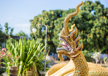 Naga temple, Thailandの写真素材