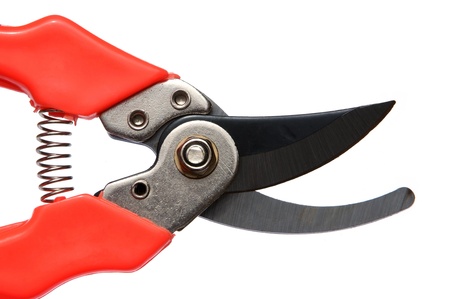 Red garden secateurs isolated on a white background の写真素材