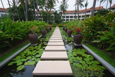 Walkway on pond full of water lilies in tropical garden, Koh Samui, Thailand のeditorial素材