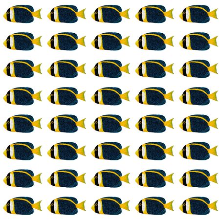 Acrylic painting Blue Scribbled angelfish pattern isolated on white backgroundの写真素材