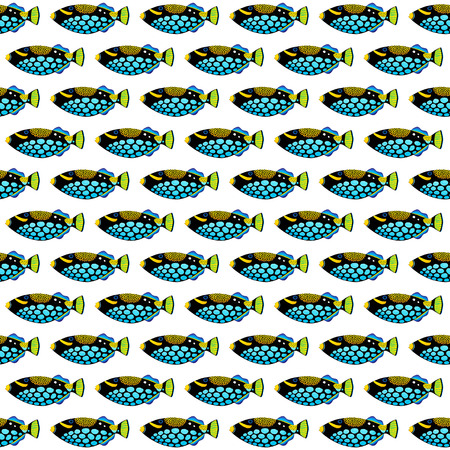 Clown triggerfish original acrylic Painting isolated on white backgroundの写真素材