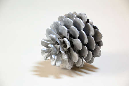 silver pine cone close upの写真素材