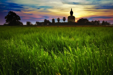 silhouette Golden Buddhas at Wat Muang, Ang Thong Province, thailandの写真素材