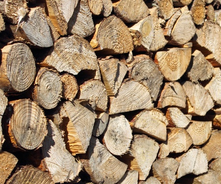 Broken pine wood supplies for the winter  の写真素材