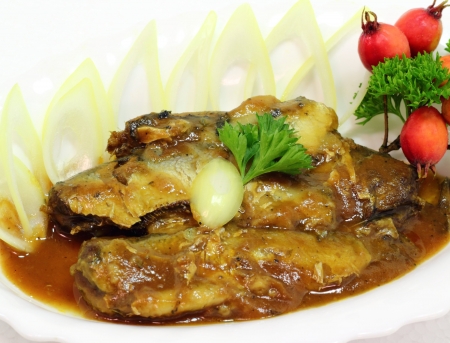 sprats in tomato sauce with onions on a white plate の写真素材