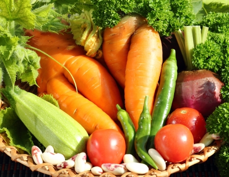 It is a mix of fresh vegetables の写真素材
