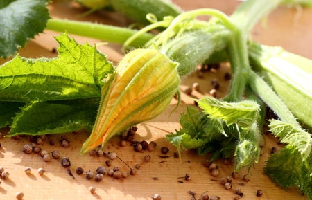 It is immature blooming zucchini with leaves の写真素材