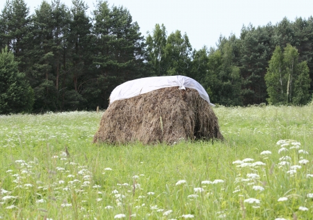 a haystack stacked in the meadowの写真素材