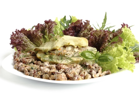 patisson stuffed with minced meat, served with a salad plate  and openky mushroom sauceの写真素材