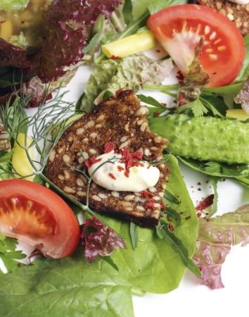 snack with toasted black bread and vegetables の写真素材
