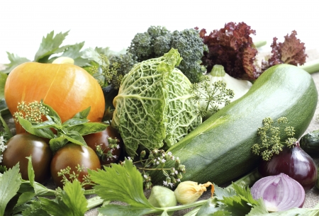 This is organic grown vegetables and herbsの写真素材
