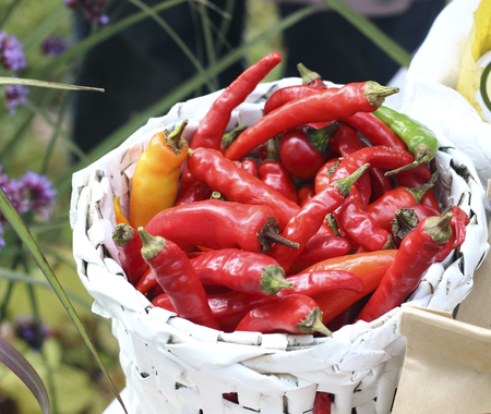 Close up ripe chili pepper basketの写真素材