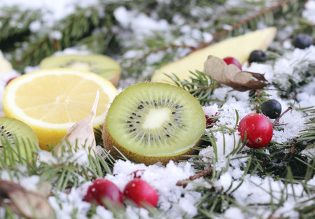 fruit and berries on a snow-covered fir branches の写真素材