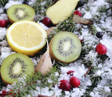 fruit and berries on a snow-covered fir branchesの写真素材