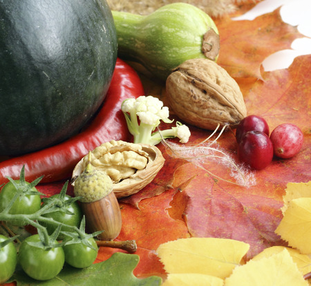 Autumn composition from fruits and vegetables の写真素材