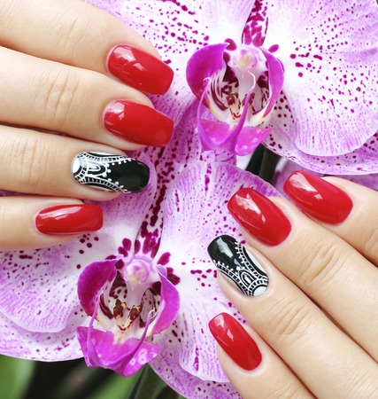 Beautifully manicured fingernails with orchid flowers in the backgroundの写真素材
