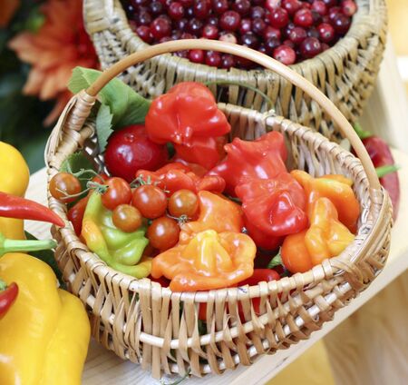 Wicker basket filled with fruits, vegetables fresh from the gardenの写真素材