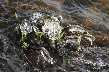 River in winter, close up frozen river vegetationの写真素材