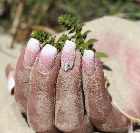 Beautiful hand of woman on the sand of the seaの写真素材