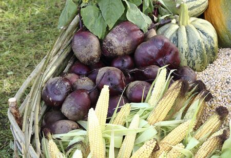 Assortment of fresh vegetables close upの写真素材