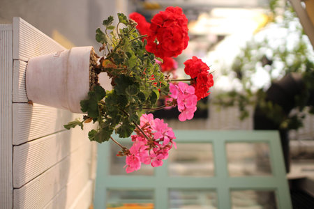 Terrace flowerpotの写真素材