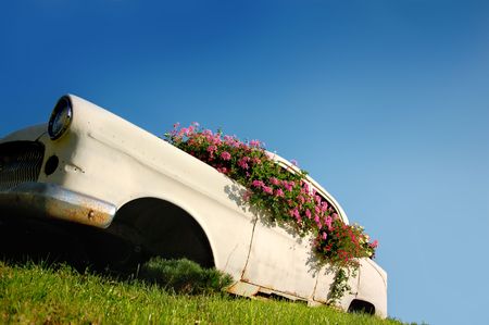 Eco friendly Car, covered with lot of Flowersの写真素材