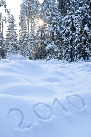 2010 in Winter Landscapeの写真素材