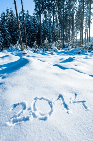 Year 2014 written in a winter forestの写真素材