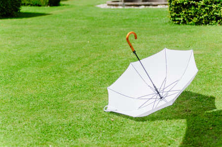 White umbrella in the grass of a parkの写真素材