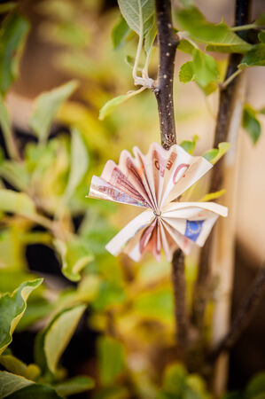Tree with Banknote on it given for a giftの写真素材