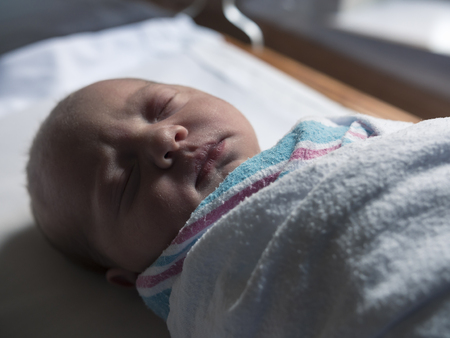 Swaddled Newborn Baby Sleeping Peaceful in Hospitalの写真素材