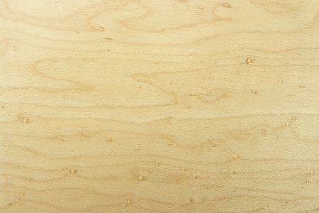 Edge to edge beech wood texture. Slight side light to highlight contours.の写真素材