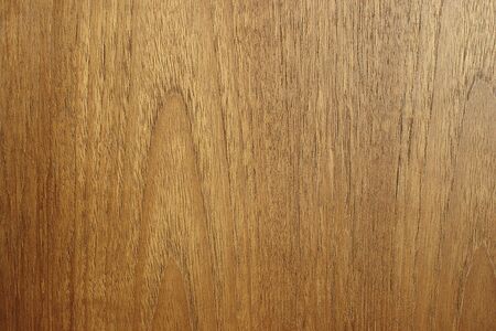 Edge to edge teak wood texture. Slight side light to highlight contours.の写真素材