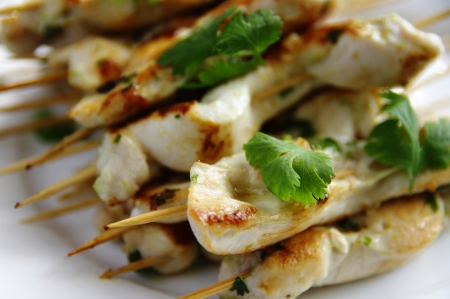 Chicken Kebabs  Grilled, plated and ready to eat の写真素材