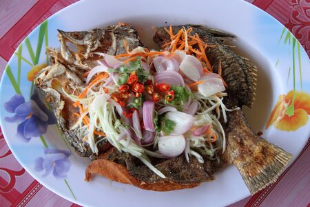 Fried snapperの写真素材