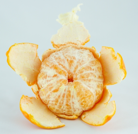 Orange casing on white background,Isolatedの写真素材