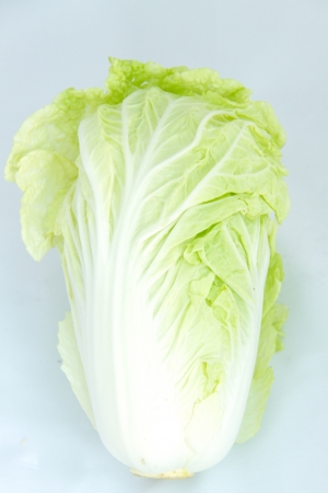 Chinese cabbage on white backgroundの写真素材