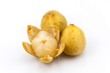 Wollongong on white background,Isolatedの写真素材