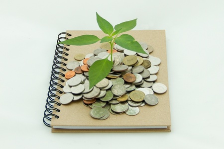 Plant and money growing from the notebookの写真素材