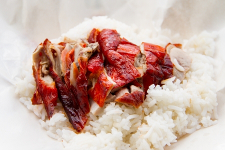 Duck with Rice on white paperの写真素材