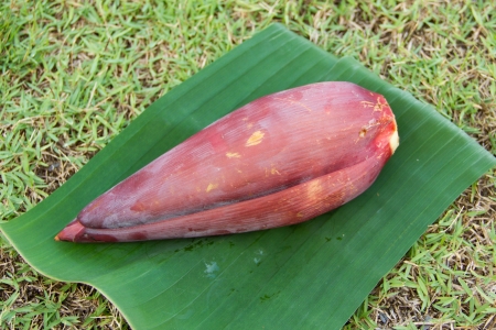 Banana blossom on banana leavesの写真素材