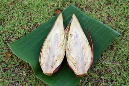 Banana blossom on banana leavesの写真素材
