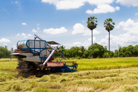 Combine harvesters were reapingの写真素材