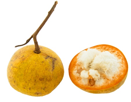 Santol fruit on white backgroundの写真素材