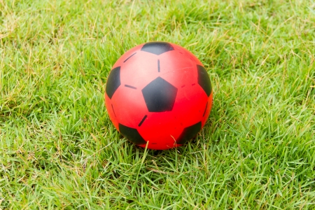 Red ball on the lawnの写真素材