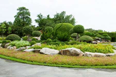 flower and rock the gardenの写真素材