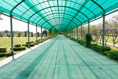 Walkway covered with shading netの写真素材